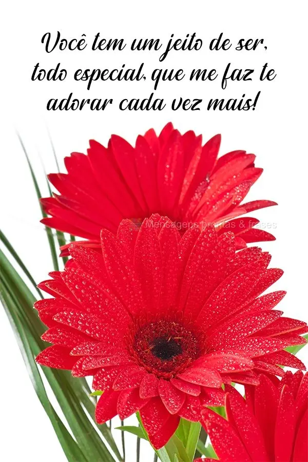 Você tem um jeito de ser todo especial, que me faz te adorar cada vez mais!
