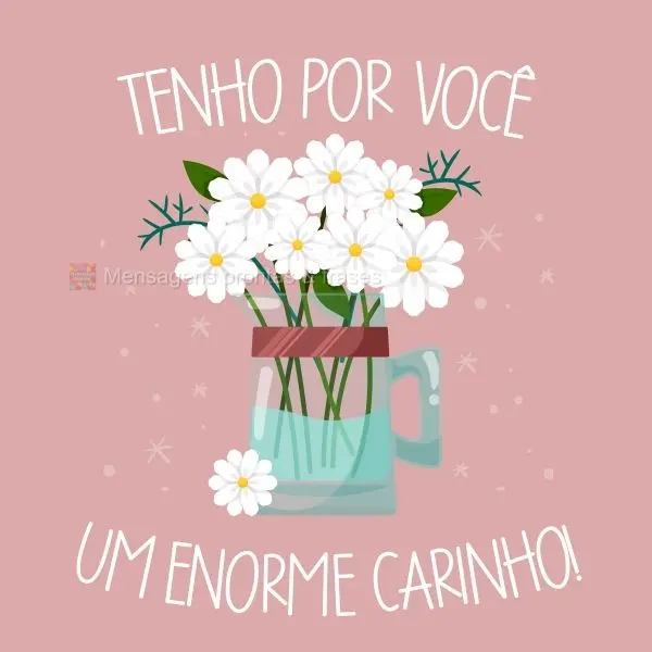 Tenho por você um enorme carinho!
