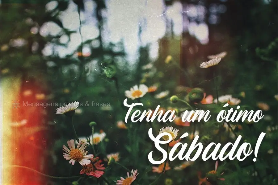 Tenha um ótimo Sábado!
