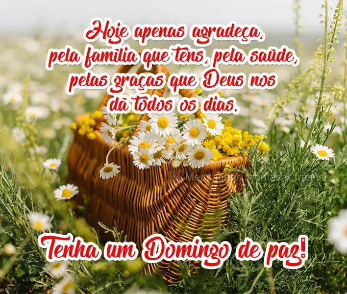 Hoje apenas agradeça pela família que tem, pela saúde e pelas graças que Deus nos dá todos os dias. 
 Tenha um Domingo de paz!