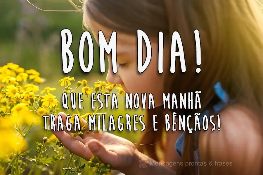 Que esta nova manhã traga milagres e bênçãos!
 Bom dia! 