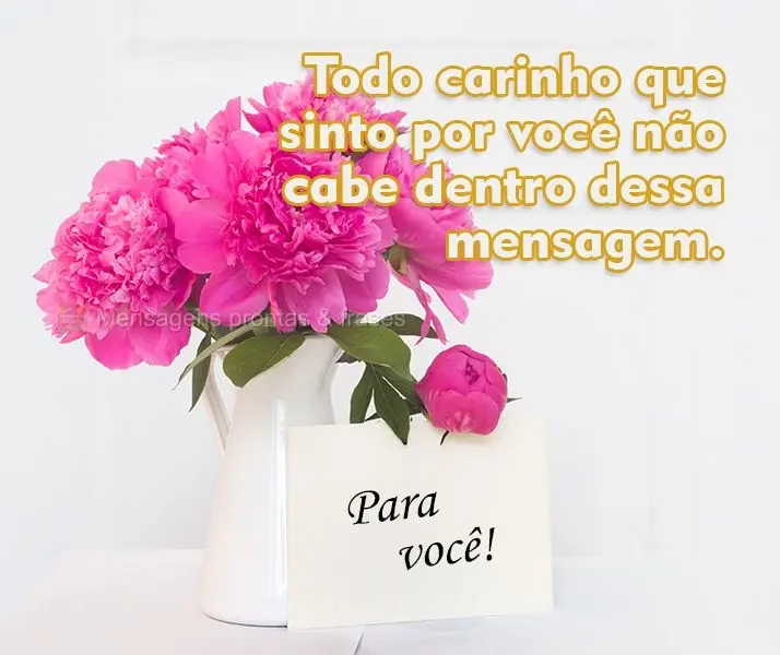 Todo carinho que sinto por você não cabe dentro dessa mensagem. 
 Para você!