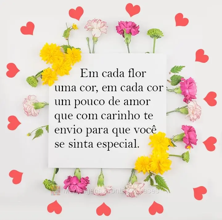 Em cada flor uma cor, em cada cor um pouco de amor que com carinho te envio para que você se sinta especial. 
