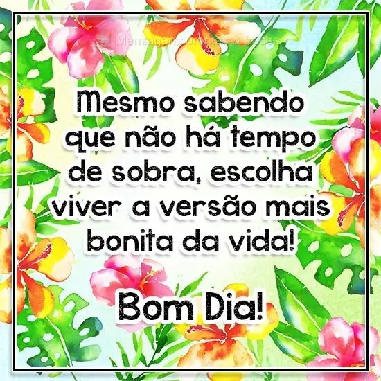 Mesmo sabendo que não há tempo de sobra, escolha viver a versão mais bonita da vida!  Bom Dia!