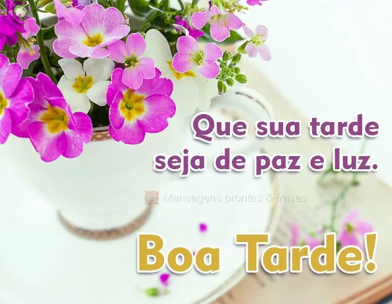 Que sua tarde seja de paz e luz. 
 Boa Tarde!