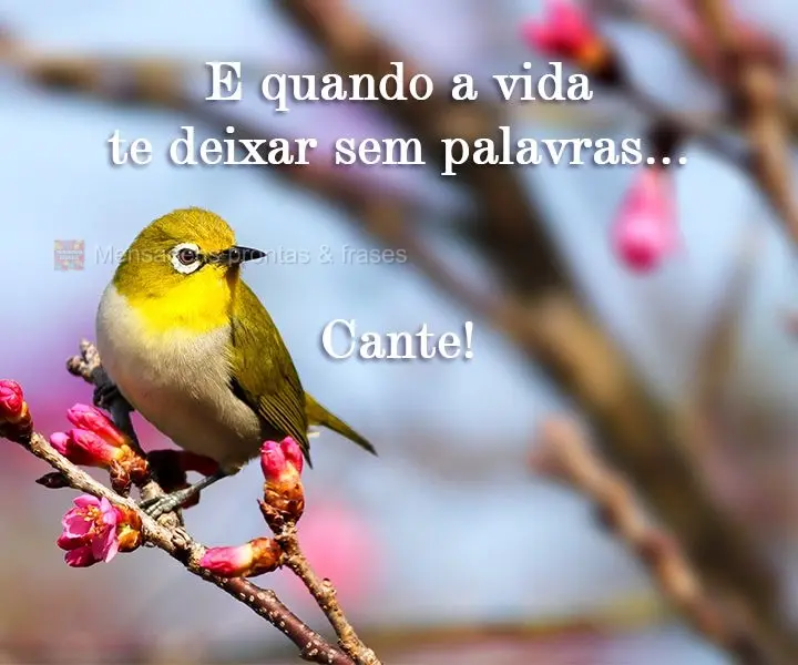 E quando a vida te deixar sem palavras...Cante!
