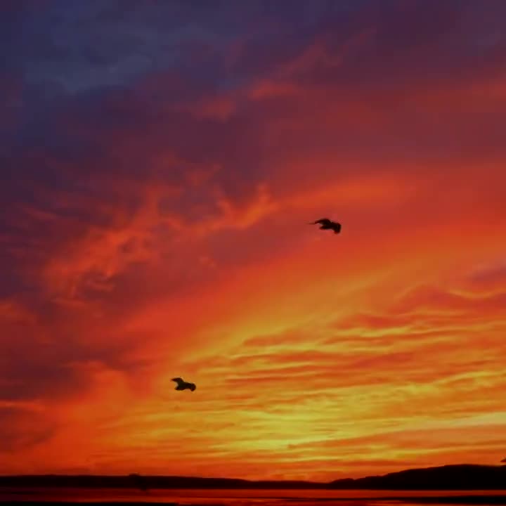 É preciso ter sonhos para buscar...
É preciso ter força para se levantar todas as vezes que cair...
É preciso ir atrás das coisas boas e acreditar...