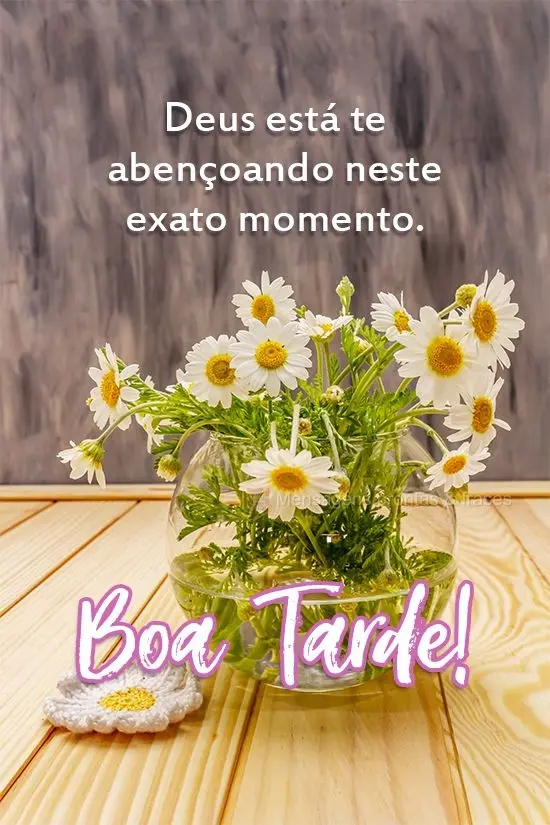 Deus está te abençoando neste exato momento. 
 Boa Tarde!