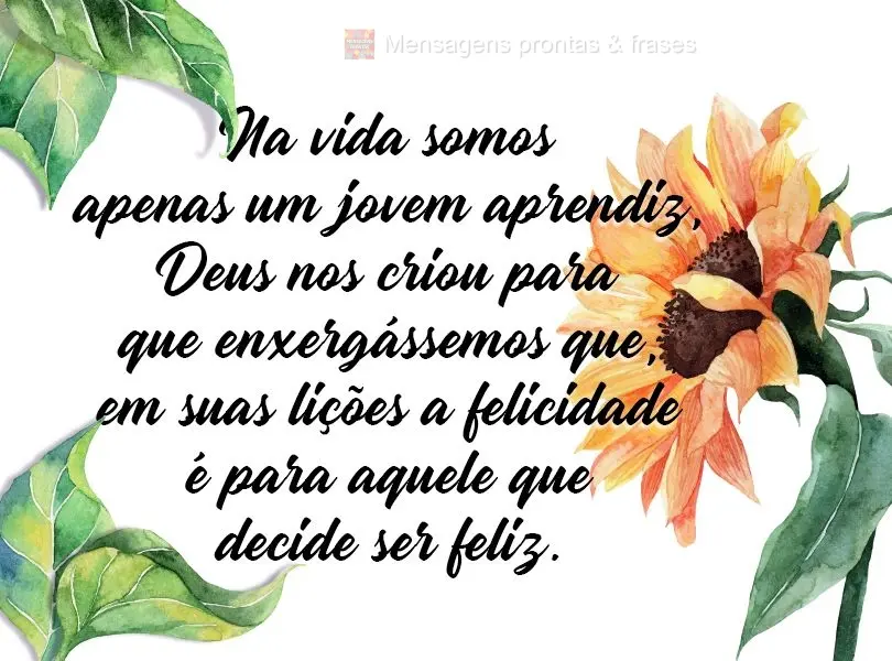 Na vida somos apenas um jovem aprendiz, Deus nos criou para que enxergássemos que, em suas lições, a felicidade é para aquele que decide ser feliz.
...