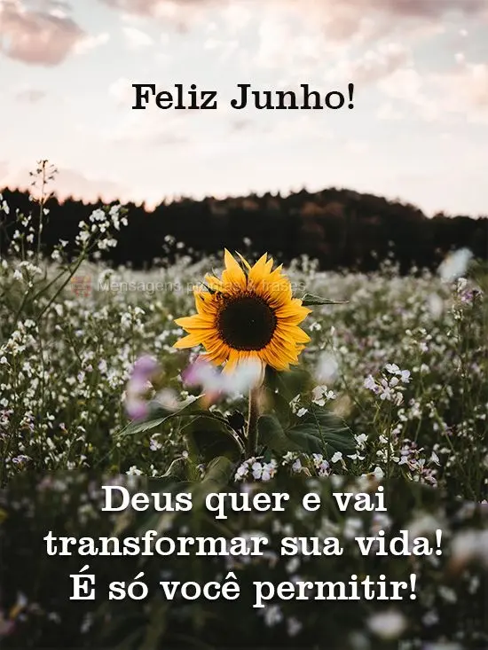 Deus quer e vai transformar sua vida! É só você permitir!
 Feliz Junho!