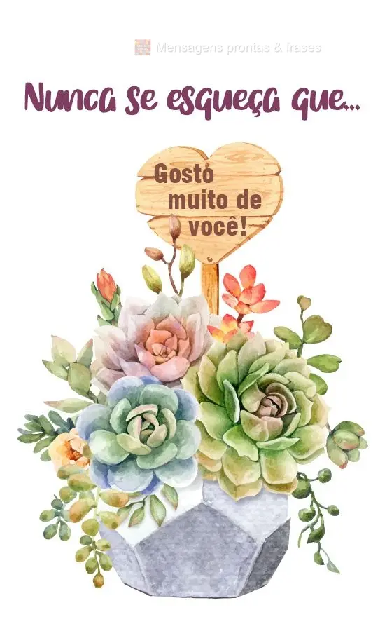 Nunca se esqueça que... Gosto  muito de você!
