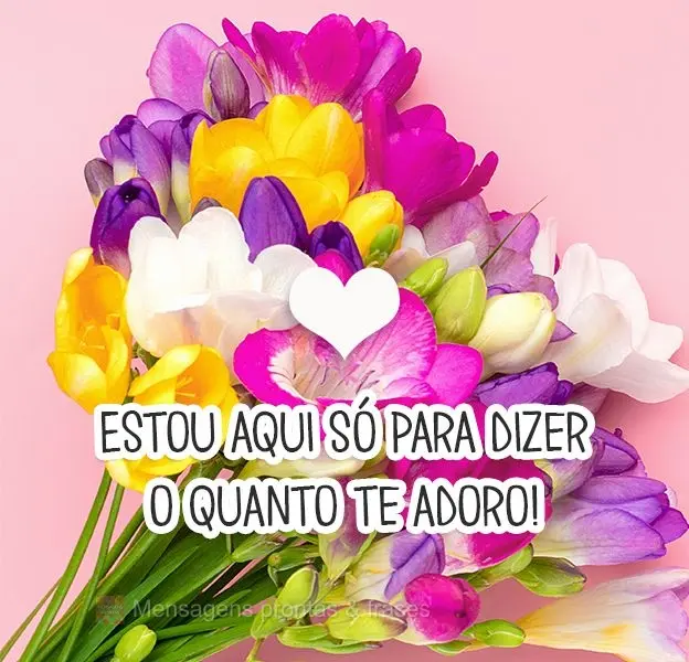 Estou aqui só para dizer o quanto te adoro!
