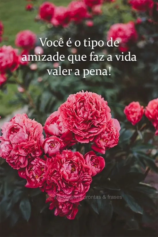 Você é o tipo de amizade que faz a vida valer a pena!
