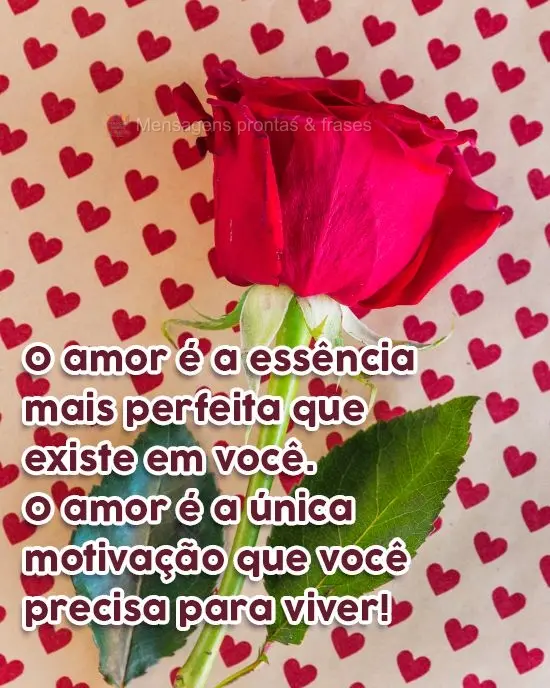 O amor é a essência mais perfeita que existe em você. O amor é a única motivação que você precisa para viver! 
