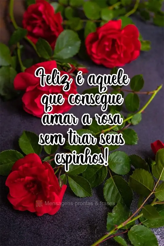 Feliz é aquele que consegue amar a rosa sem tirar seus espinhos!

