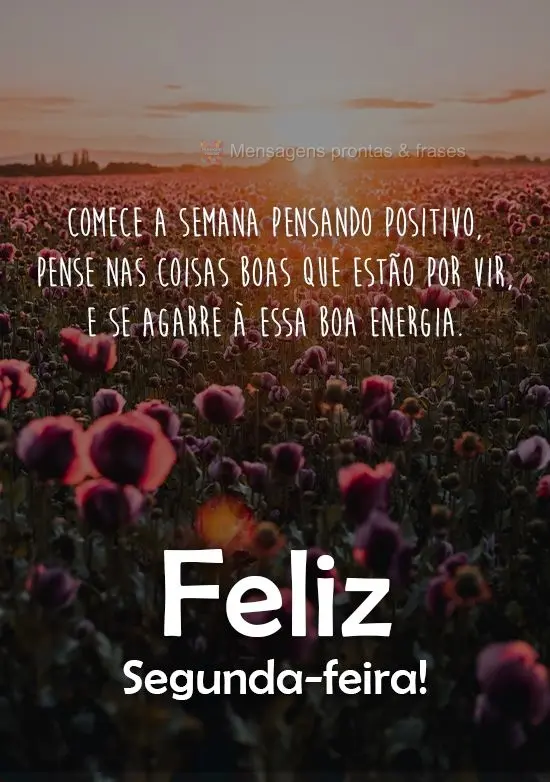 Comece a semana pensando positivo, pense nas coisas boas que estão por vir, e se agarre a essa boa energia. 
 Feliz Segunda-feira!