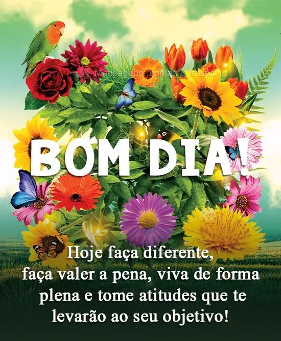 Hoje faça diferente, faça valer a pena, viva de forma plena e tome atitudes que te levarão ao seu objetivo!
 Bom dia!