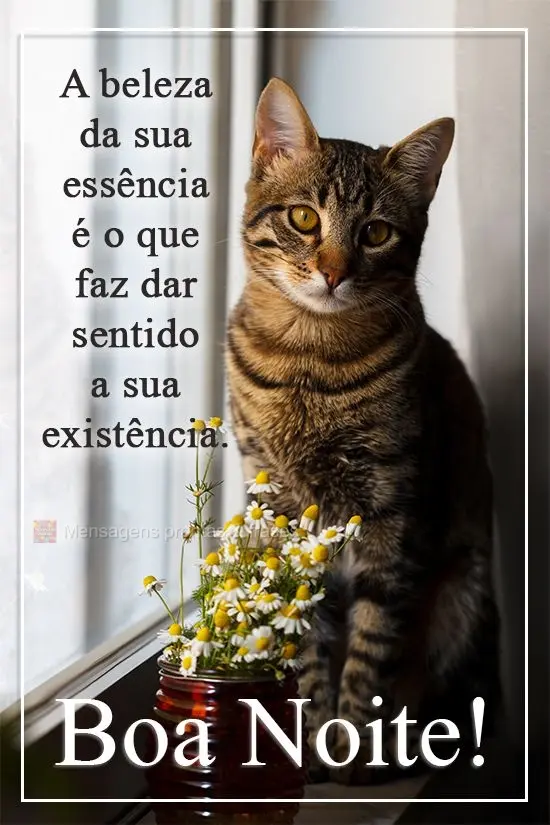 A beleza da sua essência é o que faz dar sentido a sua existência. 
 Boa Noite!