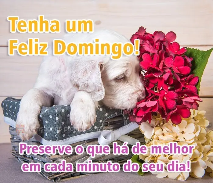 Preserve o que há de melhor em cada minuto do seu dia!
 Tenha um Feliz Domingo! 