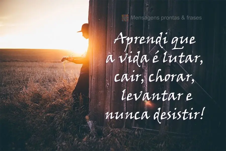 Aprendi que a vida é lutar, cair, chorar, levantar e nunca desistir!
