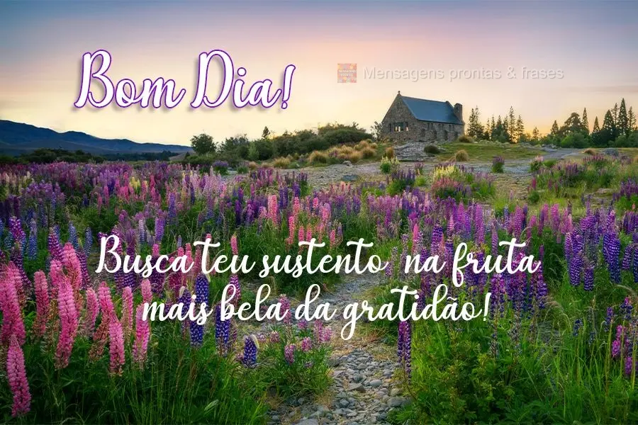 Busca teu sustento na fruta mais bela da gratidão!
 Bom dia! 