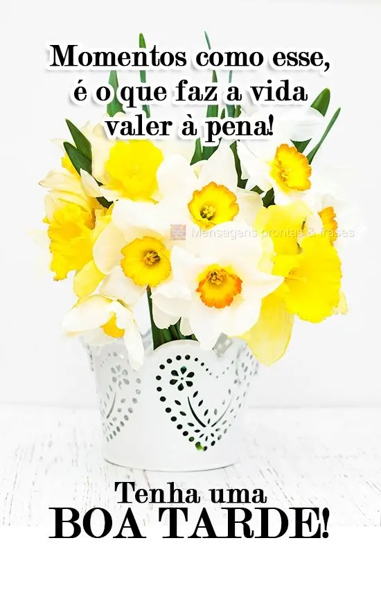 Momentos como esse, é o que faz a vida valer à pena!
 Tenha uma Boa Tarde!