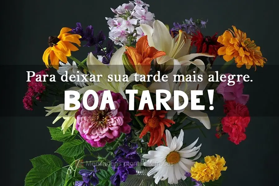 Para deixar sua tarde mais alegre.
 Boa Tarde! 