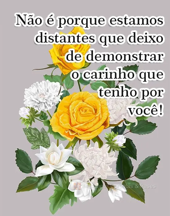 Não é porque estamos distante que deixo de demonstrar o carinho que tenho por você!
