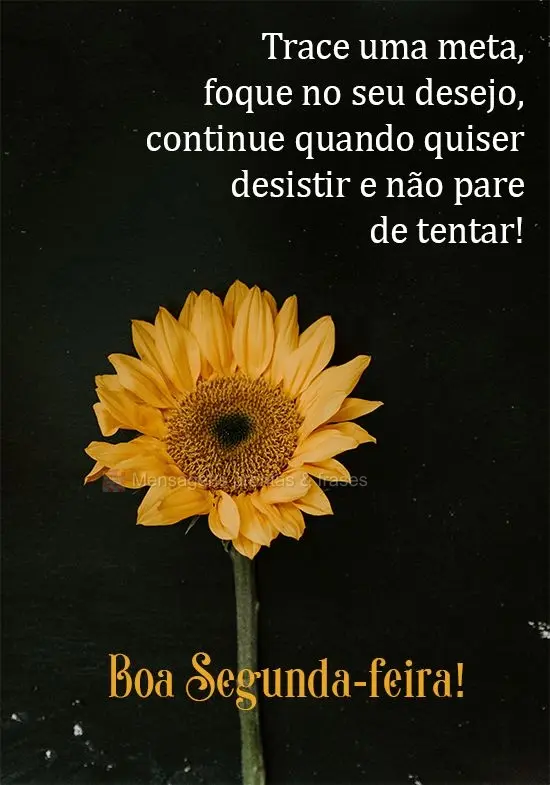 Trace uma meta, foque no seu desejo, continue quando quiser desistir e não pare de tentar!  Boa Segunda-feira!