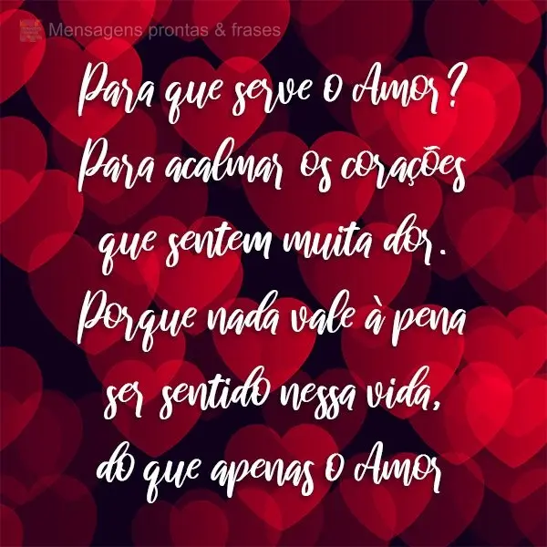 Para que serve o amor? Para acalmar os corações que sentem muita dor. Porque nada vale à pena ser sentido nessa vida, do que apenas o amor.
