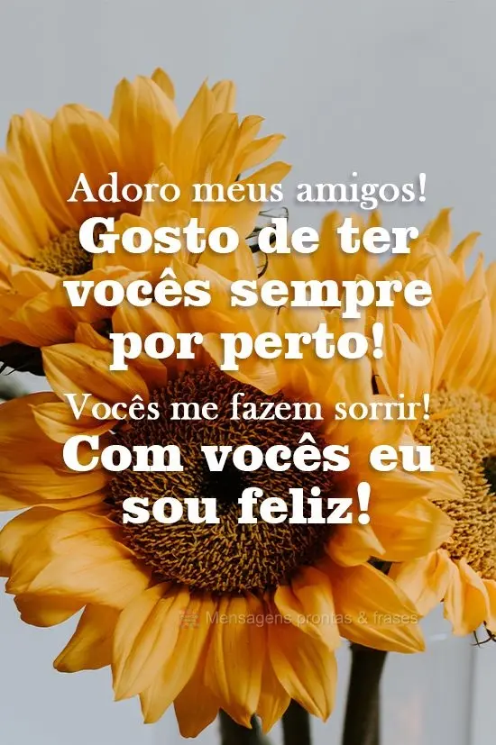 Adoro meus amigos! Gosto de ter vocês sempre por perto! Vocês me fazem sorrir! Com vocês eu sou feliz!
