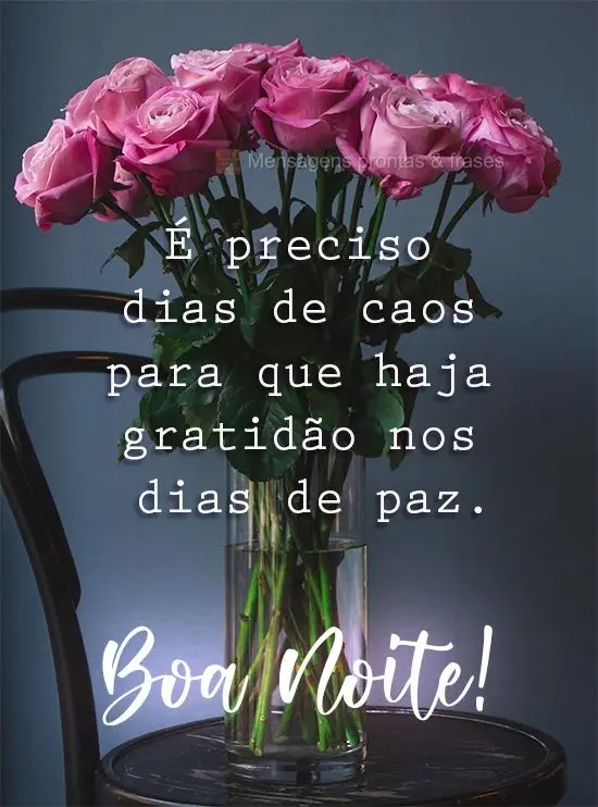 É preciso dias de caos para que haja gratidão nos dias de paz.
  Boa Noite!