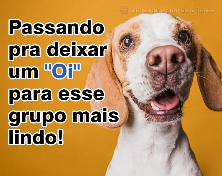 Passando pra deixar um ''Oi'' para esse grupo mais lindo!

