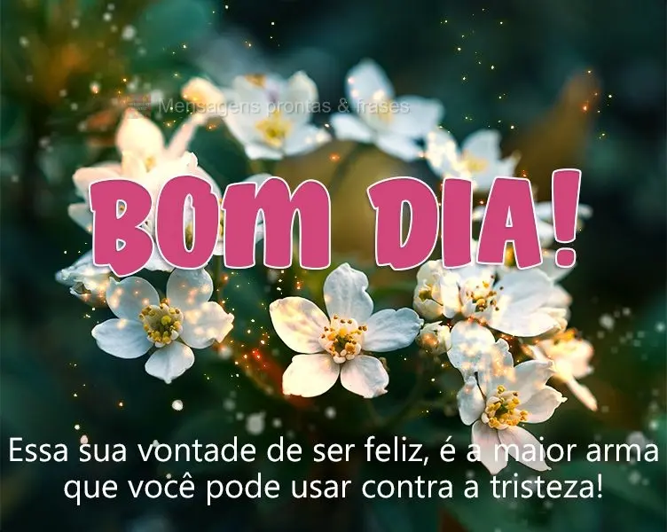 Essa sua vontade de ser feliz, é a maior arma que você pode usar contra a tristeza!
 Bom Dia! 