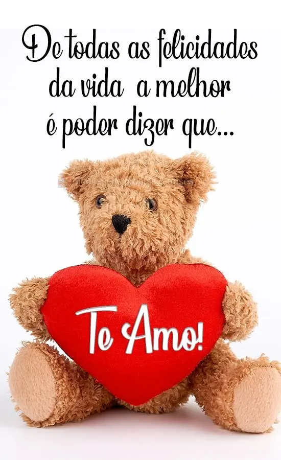 De todas as felicidades da vida, a melhor é poder dizer que...  
 Te Amo!