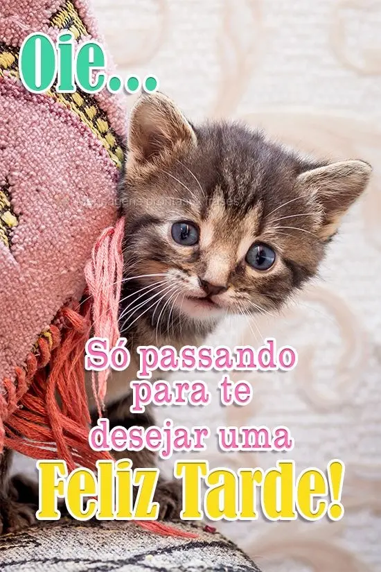 Oie...Só passando para te desejar e Feliz Tarde!
