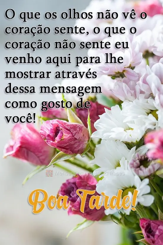 O que os olhos não veem o coração sente, o que o coração não sente eu venho aqui para lhe mostrar, através dessa mensagem, como gosto de você! 
...