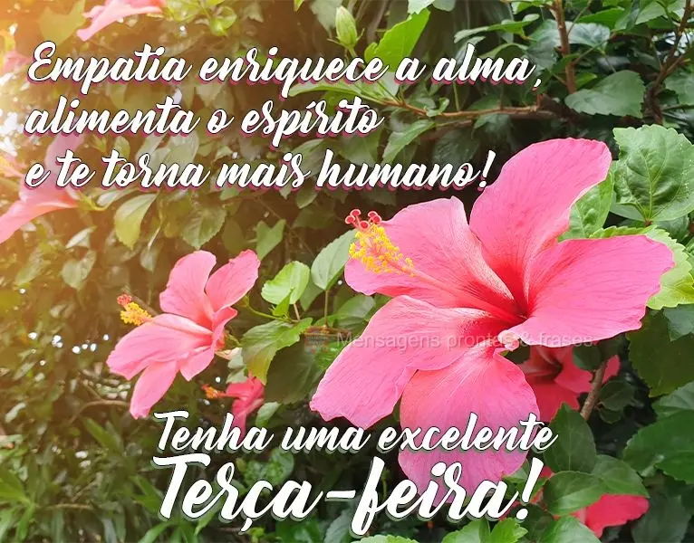 Empatia enriquece a alma, alimenta o espírito e te torna mais humano! 
 Tenha uma excelente Terça-feira!