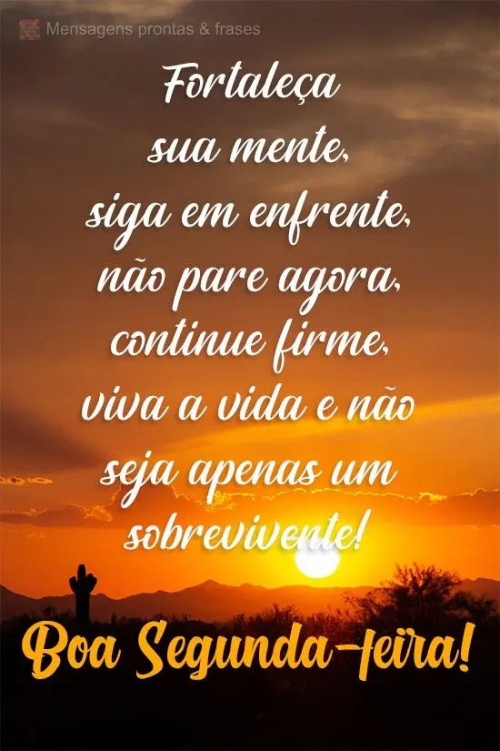 Fortaleça sua mente, siga em frente, não pare agora, continue firme. Viva a vida e não seja apenas um sobrevivente! 
 Boa Segunda-feira! 