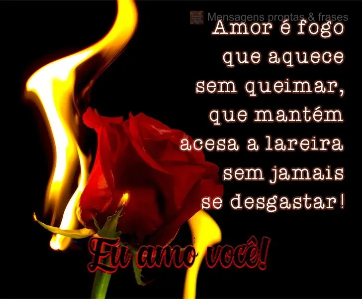 Amor é fogo que aquece sem queimar, que mantém acesa a lareira sem jamais se desgastar!  
 Eu amo você!