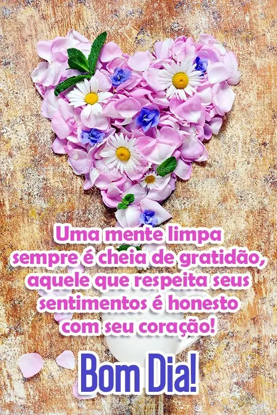 Uma mente limpa sempre é cheia de gratidão. Aquele que respeita seus sentimentos é honesto com seu coração! 
 Bom Dia!