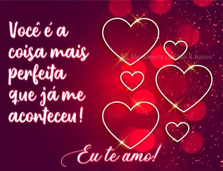 Você é a coisa mais perfeita que já me aconteceu! 
 Eu te amo!