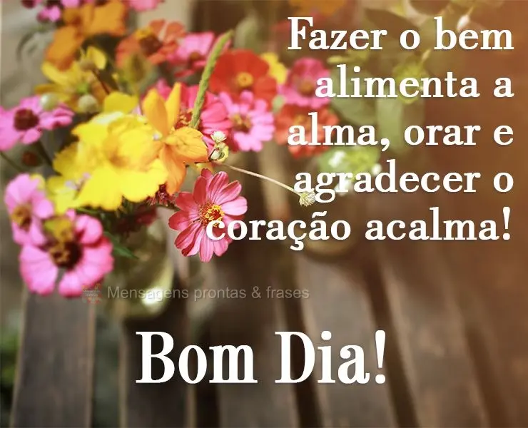 Fazer o bem alimenta a alma, orar e agradecer, o coração acalma! 
 Bom Dia!