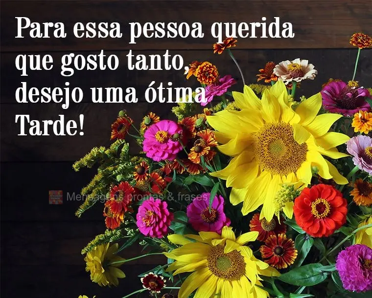 Para essa pessoa querida que gosto tanto, desejo uma ótima Tarde!
