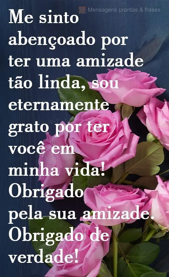 Me sinto abençoado por ter uma amizade tão linda, sou eternamente grato por ter você em minha vida! Obrigado pela sua amizade. Obrigado de verdade!
...