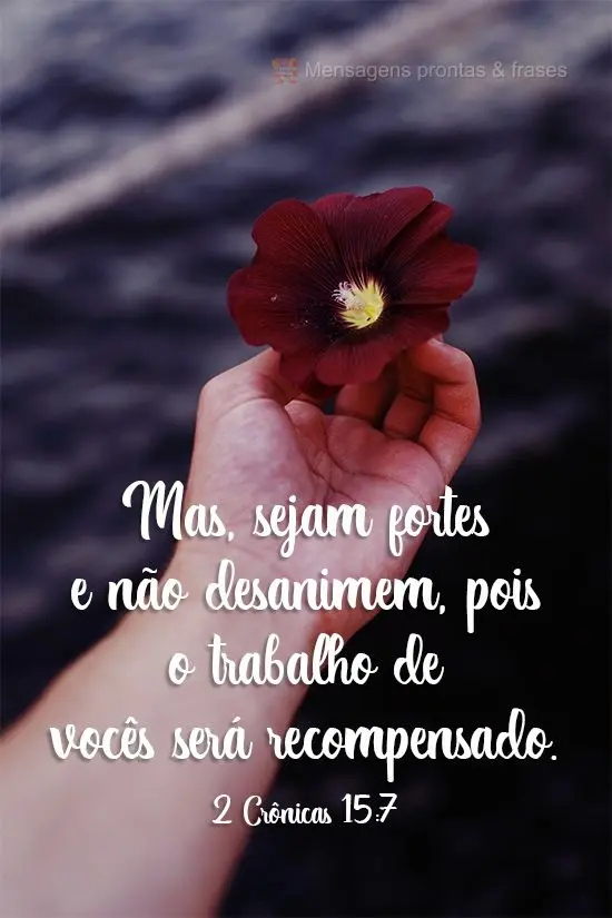Mas, sejam fortes e não desanimem, pois o trabalho de vocês será recompensado. - 
 2 Crônicas 15:7