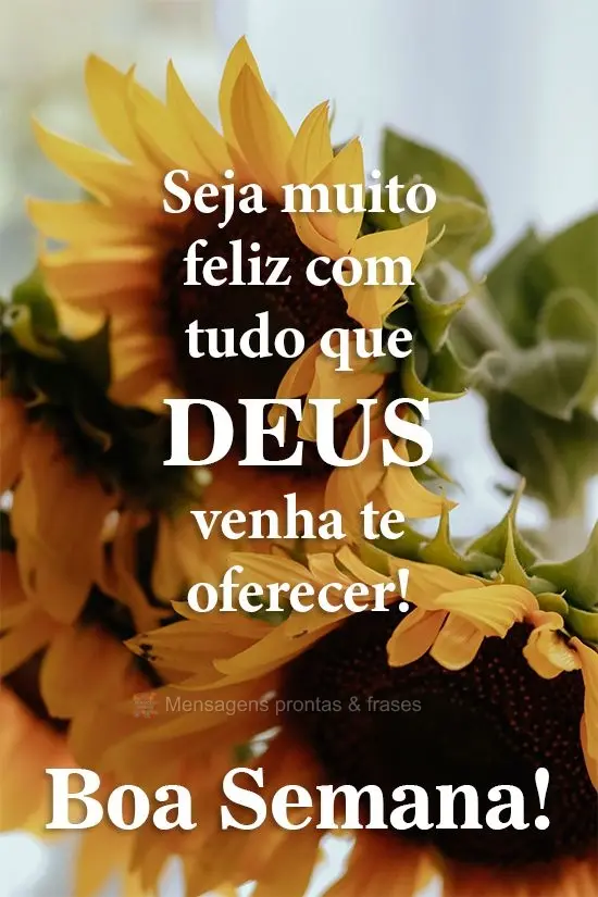 Seja muito feliz com tudo que Deus venha te oferecer!
 Boa Semana! 