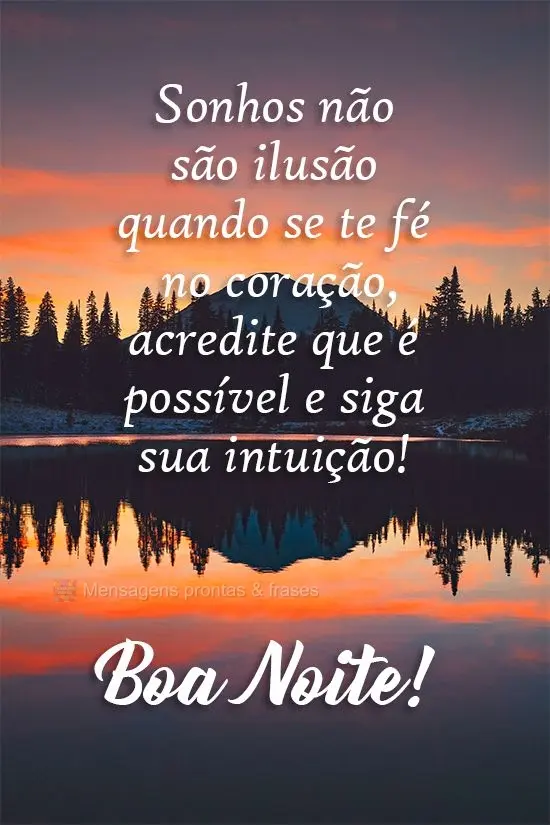 Sonhos não são ilusão quando se tem fé no coração, acredite que é possível e siga sua intuição!
  Boa Noite!