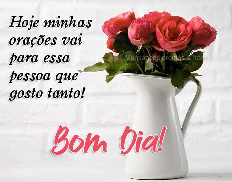 Hoje minhas orações vão para essa pessoa que gosto tanto! 
 Bom Dia!
