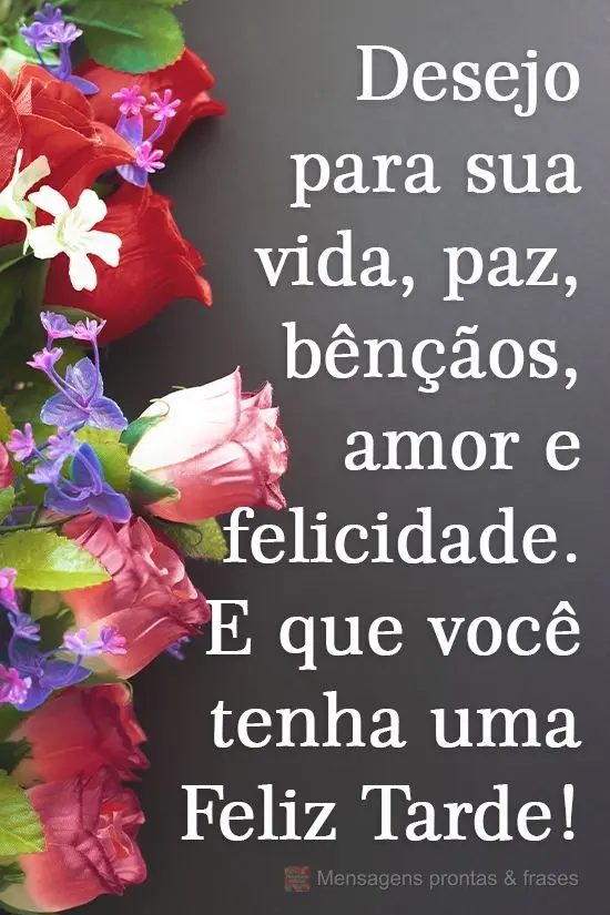 Desejo para sua vida paz, bênçãos, amor e felicidade! E que você tenha uma Feliz Tarde!  
